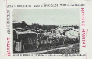 -Cartão+com+interferenciais+e+colagens+de+vera+chaves+barcelos+,+1a.jpg