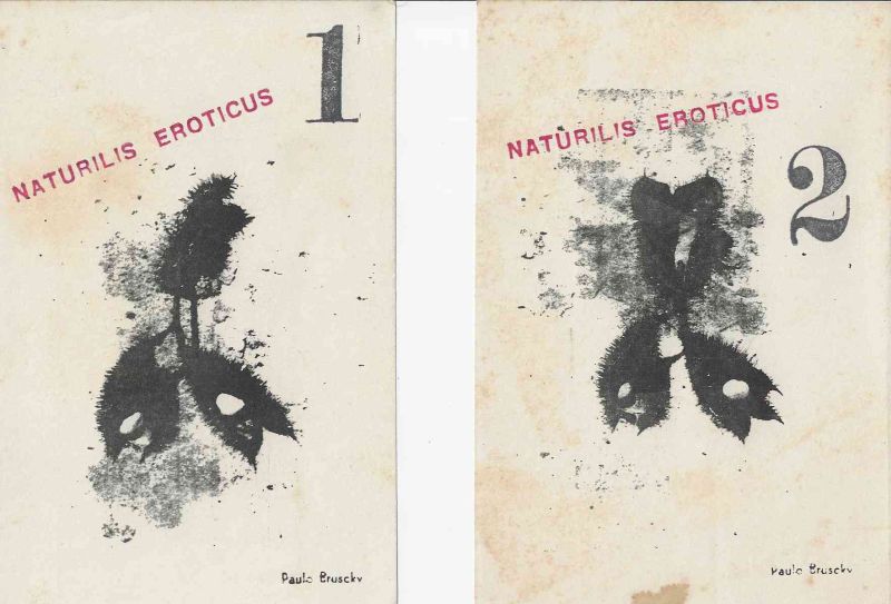 -Paulo+Bruscky,+Naturilis+Eroticus+1+e+2+.jpg
