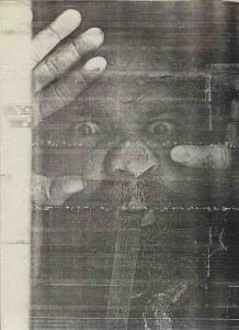 -Paulo+Bruscky,+Xerox+no+Acetato.jpg