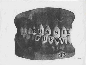 -Paulo+Bruscky+Brasil+poema.jpg