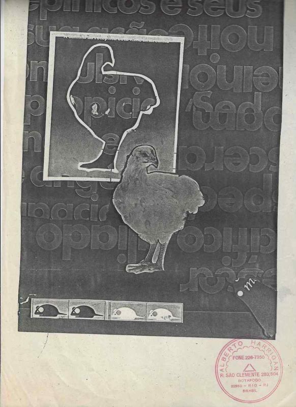-Impresso+de+poesia+visual+de+Alberto+Harrigan+.jpg