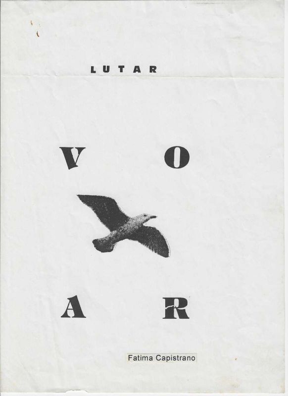 -Obra+em++tecnica+Mistra+da+Artista+Fatima+Capistrano+,+lutar+Voar+.jpg