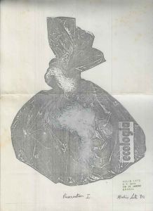 -Impressão+do+Artista+Helio+Lete+,+Preservation+I+,+Ecologia+1980.jpg