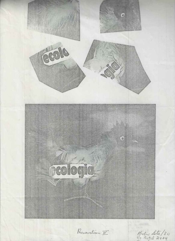 -Impressão+do+Artista+Helio+Lete+,+Preservation+IV+,+Ecologia+1980.jpg