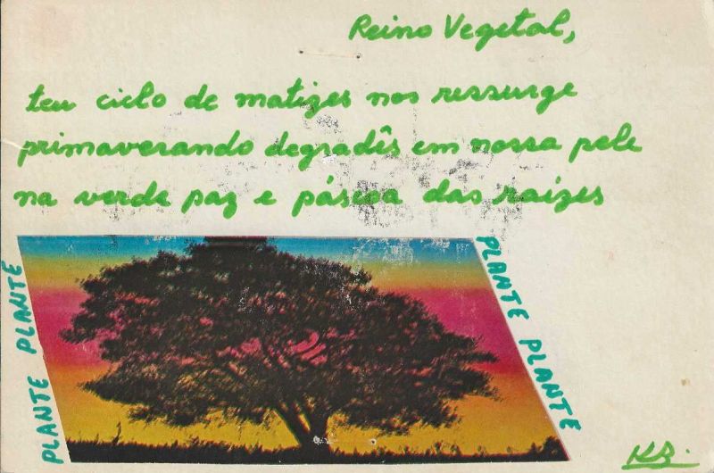 -Catão+feito+a+Mao+pela+Artista+Katia+Bento+,+Reino+Vegetal+,+proveniencia+MArcelo+Dolabela++1a.jpg