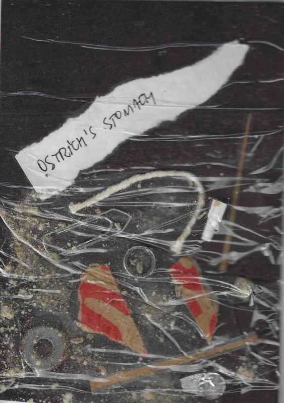 -Livro+de+Artista+de+Jose+nogueira+Estomago+de+Avestruz+2008,+enviado+para+j.+medeiros+1a.jpg