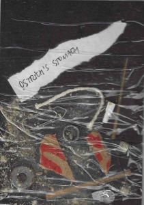 -Livro+de+Artista+de+Jose+nogueira+Estomago+de+Avestruz+2008,+enviado+para+j.+medeiros+1a.jpg