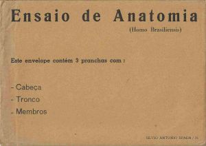 -Silvio+Antonio+Spada+1976+,+envelope+com+obras+dentro+,+Ensaio+de+Anatomia+,+homo+brasiliensis+,+cabeca+,+tronco+,+membros+,+1a.jpg