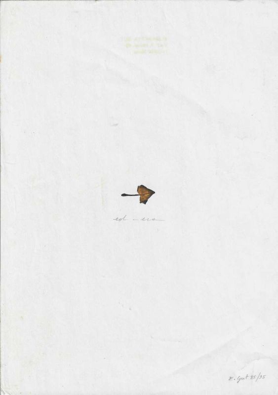 -Ed-Era+1985-95+,+foglio+di+Edero+,+Pagina+di+Poesia+ex.+unico+,+Inchiostro+-Matita,+Elisabetta+Gut+Roma,+1a.jpg